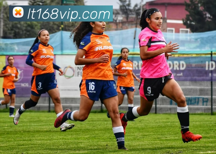 乐天堂fun88平台生态图